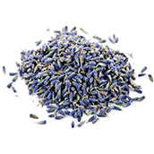 Dried Lavender Flowers